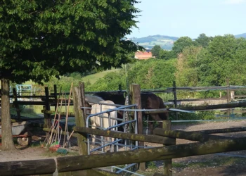Pferdebereich der Tierpension Extertal mit Weitblick über das Extertal