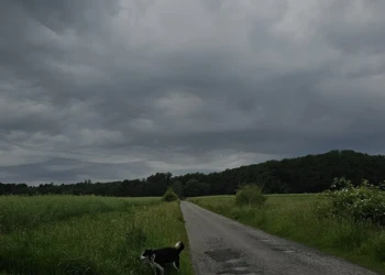 Spazierweg durch die Natur rund um die Tierpension Extertal