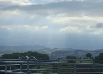 Pferdeauslauf der Tierpension Extertal mit Blick über die hügelige Landschaft