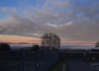 Abendstimmung auf dem Hof der Tierpension Extertal