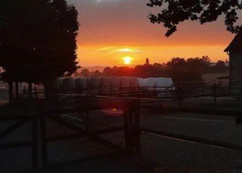 Ruhige Morgenstimmung auf dem Gelände der Tierpension Extertal