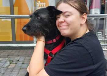Lilli, Teammitglied der Tierpension Extertal kümmert sich liebevoll um einen Hund