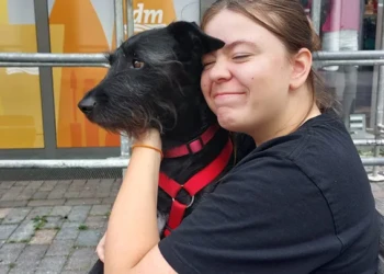 Lilli, Teammitglied der Tierpension Extertal kümmert sich liebevoll um einen Hund