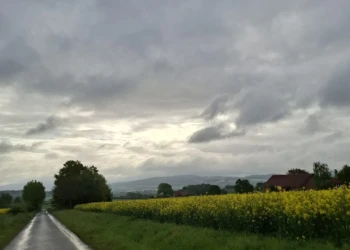 Schmaler Landweg zwischen grünen Wiesen und blühenden Rapsfeldern unter dramatischem Wolkenhimmel