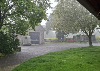 Starker Regen auf dem Gelände der Tierpension mit Bäumen, Stallgebäude und befestigter Hoffläche