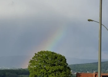 Teil eines Regenbogens über den Weiden und Ausläufen der Tierpension