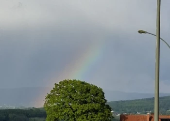 Teil eines Regenbogens über den Weiden und Ausläufen der Tierpension