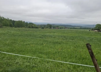 Weitläufige grüne Wiese mit Blick auf die hügelige Landschaft des Extertals