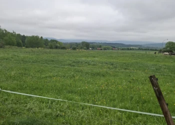 Weitläufige grüne Wiese mit Blick auf die hügelige Landschaft des Extertals