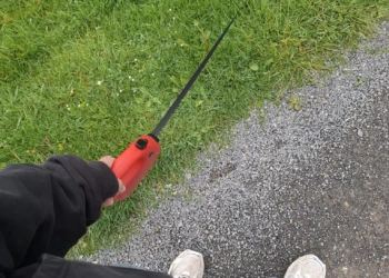 Person führt einen Hund an einer Rollleine auf einem Weg entlang grüner Wiesen